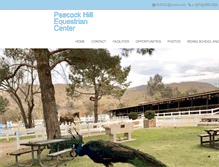 Tablet Screenshot of peacockhillequestrian.com